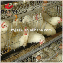 Cage / Uganda Poultry Farm Automatic Chicken Layer Cage